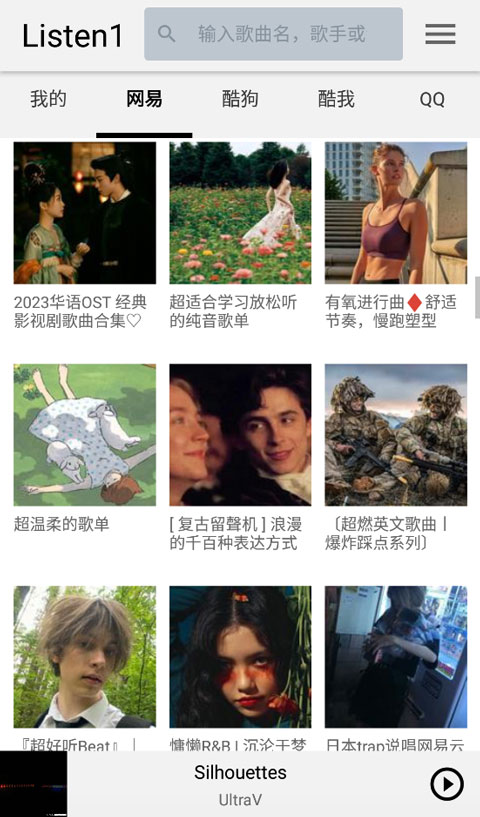 狐狸蜷缩在大象耳朵褶皱里看极光壁纸